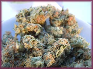 Cannabis buds that give you the high, CBD from hemp comes from stalks and seeds for great pain relief