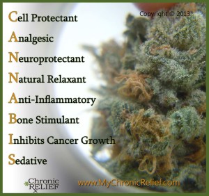 Cannabis & It's Healing Powers