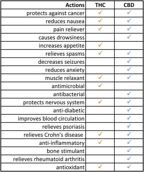 CBD&THCchart Chronic Relief What is Medical Marijuana Chronic