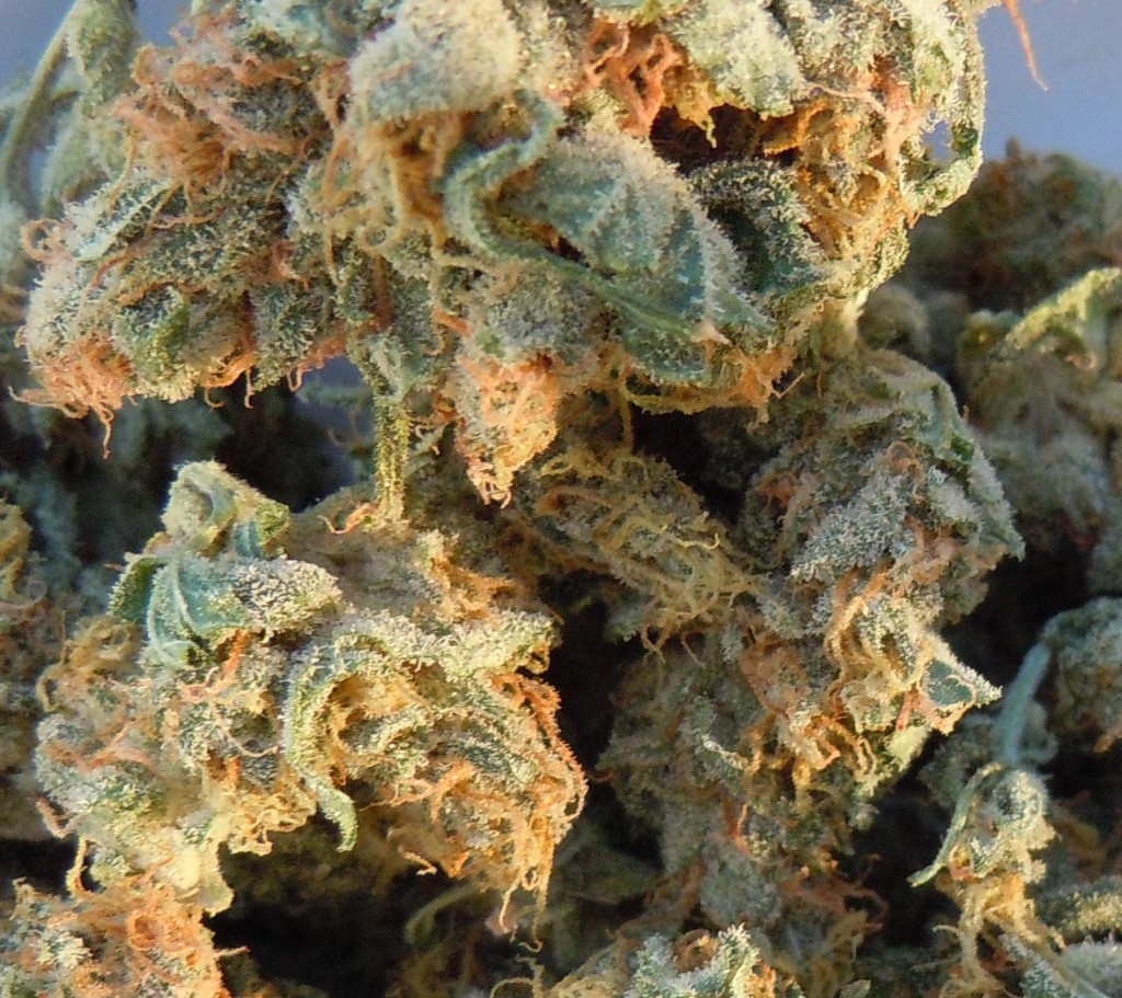 Chronic Pain Relief Up Close What Is Medical Marijuana Chronic Pain 