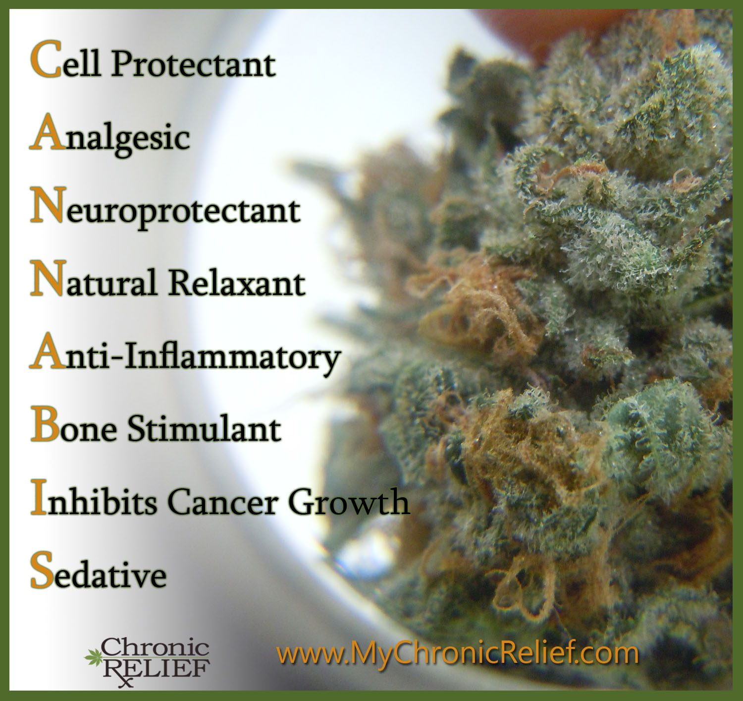 CANNABIS - What Is Medical Marijuana | Chronic Pain Relief | THC & CBD