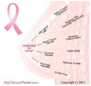 Cannabis for Breast Cancer