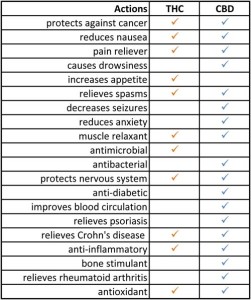 difference between cbd and thc reddit