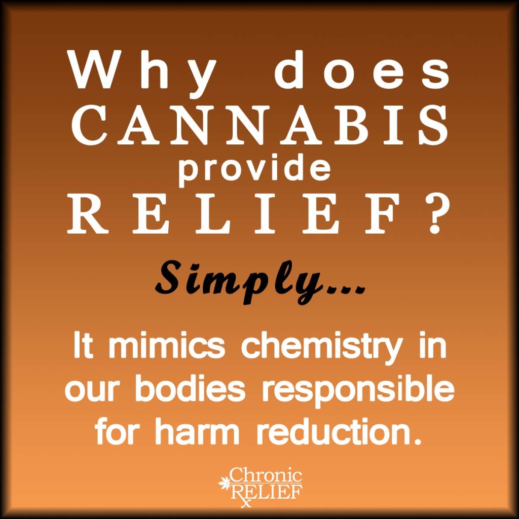 Why does cannabis provide relief?