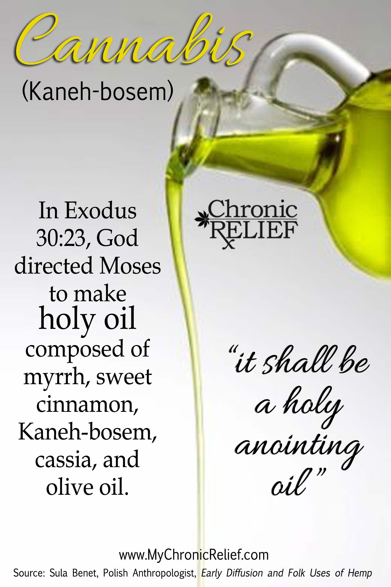 Cannabis Ingredient of Holy Anointing Oil What is