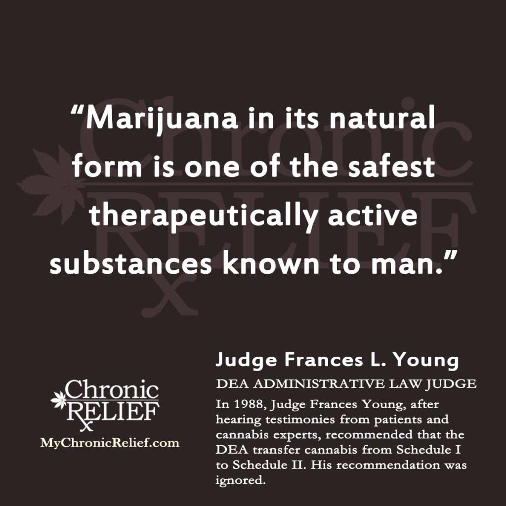 Judge Young quote