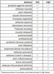 THC & CBD chart D - What is Medical Marijuana | Chronic Pain Relief ...