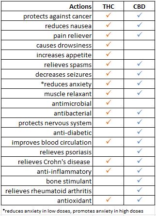 thc vs cbd molecular structure